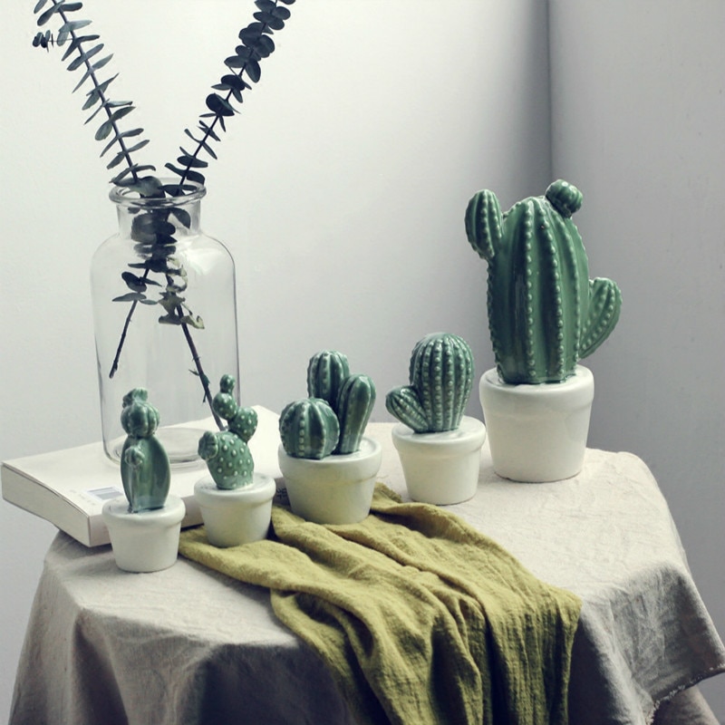   potted Cactus Ի ڱ Cactus ũ..
